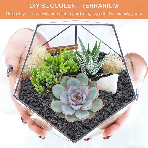 6lb Black Lava Rocks for Plants, 3/8" Succulent Potting Soil Amendments, Decorative Lava Rocks for Fire Pit, Volcanic Gravel for Aquarium, Natural Pebbles Pumice for Cactus, Vase, Top Dressing - color: Black, size: 6 Lb