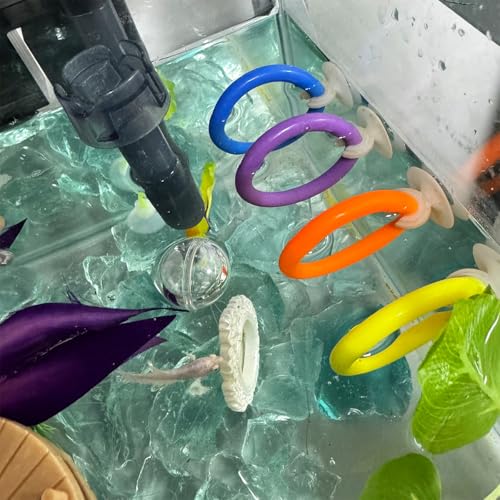 6 Pcs Betta Fish Toy Set, Includes Betta Mirror, Exercise Ring, Leaf-Shaped Hammock, Suitable for Betta Fish Tanks Accessories, Aquariums Decor