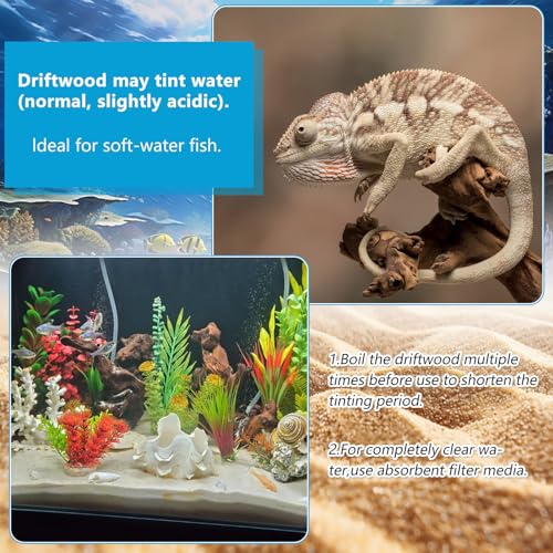 3 Pcs Natural Driftwood for Aquarium, Aquarium Driftwood Freshwater 8-10 Inch, Assorted Size Mopani Wood, Twisted Branches for Fishtank Accessories, Reptile Terrariums Decorations - color: 3 Pack Mopani Driftwood 8-10in