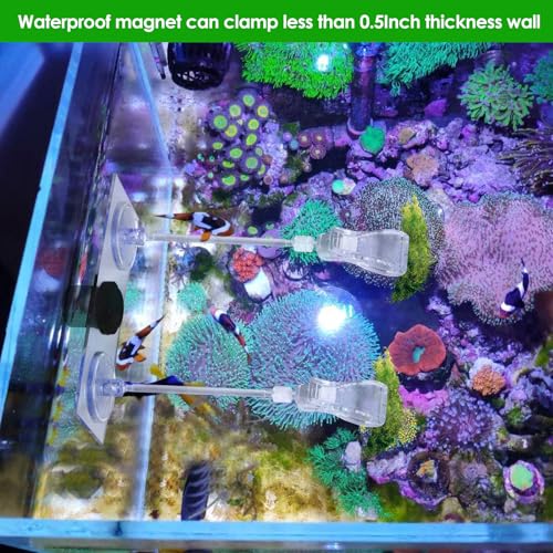 Magnet nori Clips Feeder for Saltwater Fish Tank Accessories Seaweed clamp Holder Coral Seaweed Clip Veggie Feeder Clip for Fish Never Rust