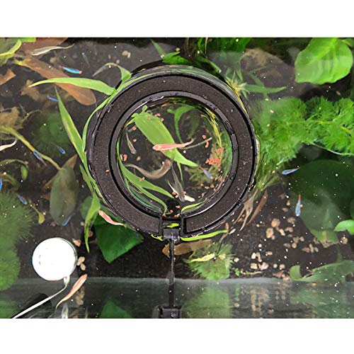 E-outstanding 2pcs Fish Feeding Ring Tropical Fish Food Ring Aquarium Fish Tank Accessories Water Plant Buoyancy Suction Cup (1 x Round Shape and 1 x Square Shape), Black
