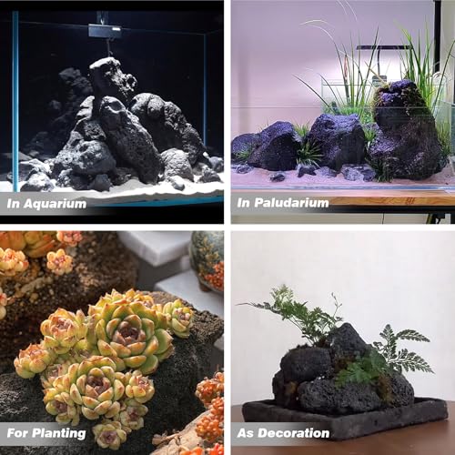 Black Lava Rocks 5lb Natural Volcanic Stone for Aquarium Fire Pit Succulent Planters Bonsai Garden Landscaping Decor,3 Pcs 4-6 inches - size: 5LB(3pcs)4-6in.