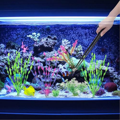 KABASI 4 in 1 Aquarium Coral Feeder Kit, 2PCS Coral SPS HPS Coral Feeder with 2PCS Tweezers, Long Arcylic Marine Reef Aquarium Syringe Liquid Fertilizer HPS Tube for Reef/Anemones/Eels/Lionfish