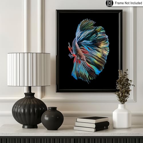 Monem Art Siamese Fighting Fish Print - The Betta Fish Poster - Marine Life Art - Animal Photography Wall Decor - Living Room or Office Decor - 8x10 Unframed Wall Art by Andi Halil - color: Style-03, size: 8"L x 10"W