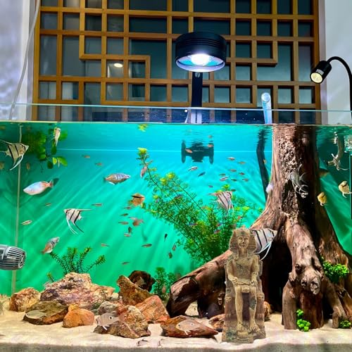 M2cbridge Aquarium Decor Castle Shipwreck Ornament Underwater Landscape(Egyptian Pharaohs) - color: Egyptian Pharaohs