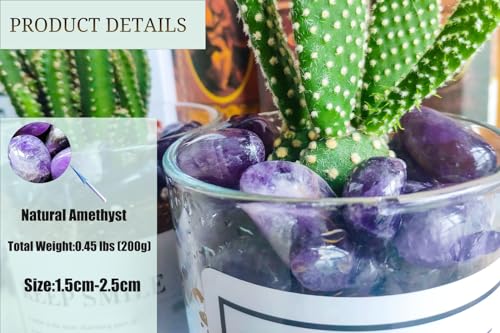 DUQGUHO Amethyst Healing Crystals Stones Set Natural Bulk Crystals Tumbled Polished Irregular Crystal Stones Bulk Rocks 0.45 lbs - color: 01 Amethyst