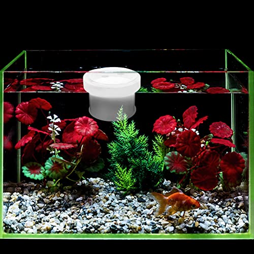 Mipcase Floating Fish Box Acrylic Aquarium Fish Breeding Box Guppies Hatching Incubator for Hatchery 10X10X8CM - color: Transparent