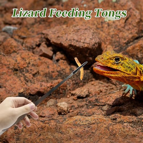 Reptile Stainless Steel Lizard Aquarium Straight Feeding Tweezers with Rubber Tip, Terrarium Feeding Tongs, 14.96" L, Black Silver Tone - color: Black, size: 14.96"