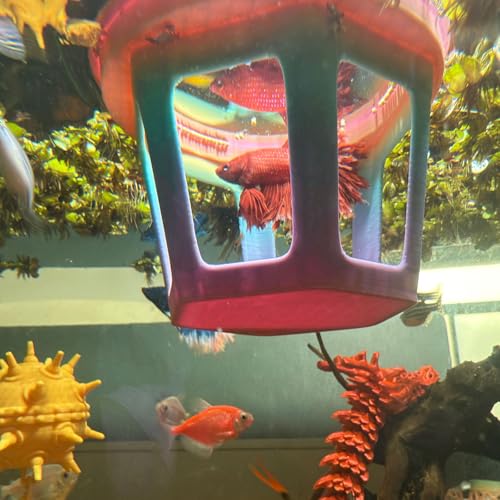 HOZOE Aquarium Betta Hammock, Betta Hideout & Cave, Floating Feeding Ring for Fish and Shrimp, Aquarium Floating Decoration Accessory (Color) - color: Color