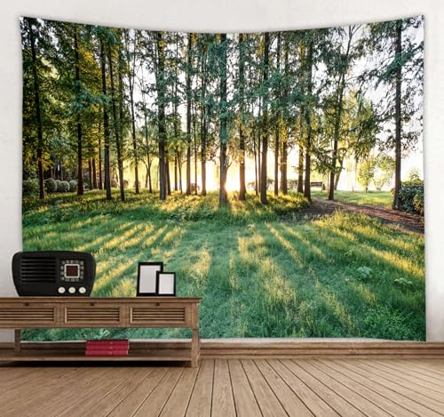 WODEJIA Sunrise Forest Tapestry, Green Trees Sunlight Landscape Wall Hanging, Nature Park Scenery Tapestries for Living Room Dorm, Large Aesthetic Wilderness Wall Art Decor Gift（79"x59"inches） - color: Sunrise Forest, size: 79"L x 59"W