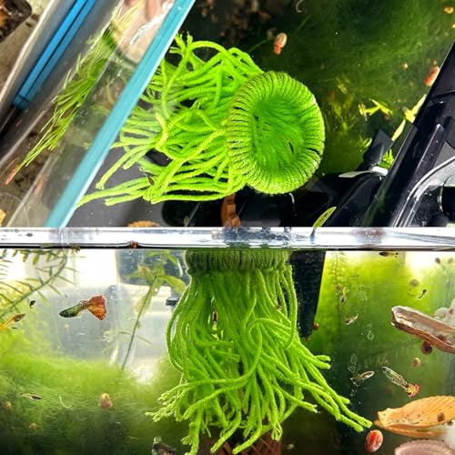 Fish Spawning Mops,Circular Spawning Mops for Fish,Fish Breeding Grass Mops,Floating Aquarium Plants Decor,Decorative Aquarium Grass for Breeding Spawning Fish(Green)