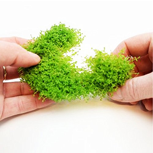 (1-Cup) Dwarf Baby Tears Carpet Imported Direct from Grower Live Aquarium Plants Decoration Tissue Culture for Freshwater Aquatic Plant Tank by Mainam
