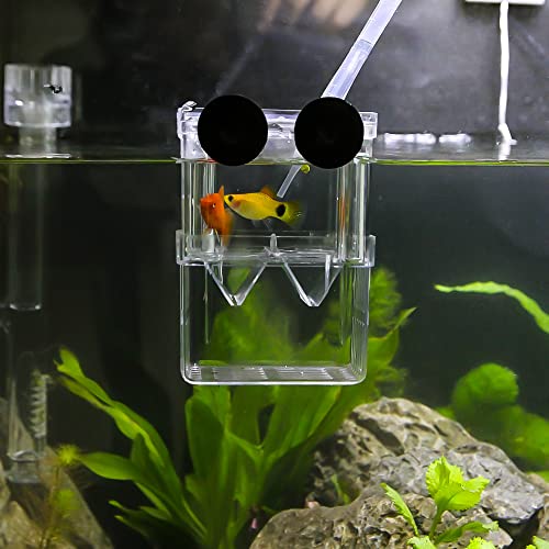 Senzeal Aquarium Fish Breeder Box Plastic Fish Isolation Breeding Box Hatching Incubator Box for Baby Fishes Shrimp Clownfish Guppy - size: Medium