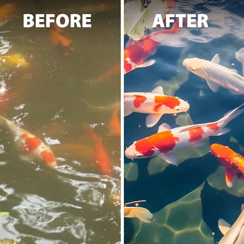 The Pond Guy LiquidClear Beneficial Bacteria Pond Cleaner for Outdoor Water Gardens & Small Ponds, Cloudy Water Reducer, Fish & Plant Safe, 32 Ounce - size: 32 Ounce