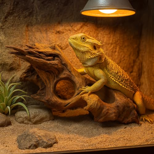 emours Porous Natural Driftwood for Aquarium, Aquascaping Driftwood with Holes, Hand-Selected Tunnels & Hideouts, Aquascaping Hardscape, Terrarium Reptile Décor, No Paint or Resin (8-12" (20-30 cm)) - size: 8-12" (20-30 cm)