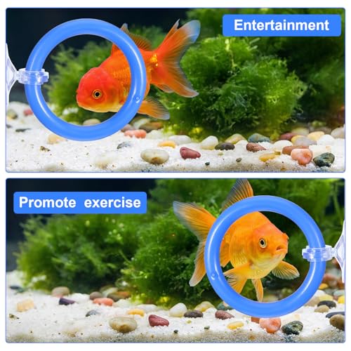 2 PCs Fish Feeding Ring with 1 Floating Mirror, Betta Ring Enrichment Toys, Exercise Training Rings and Betta Mirror for Tank Beta Fish Toys Beta Floating Aquarium Decor