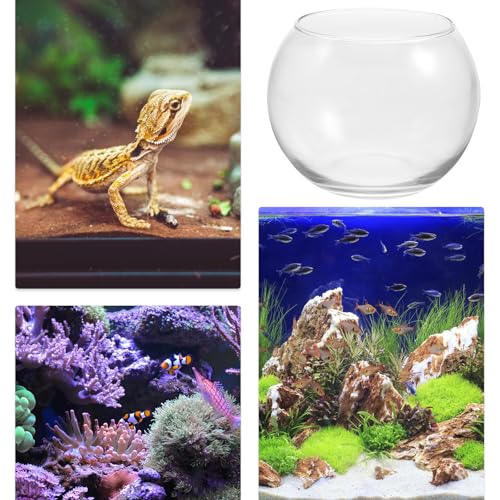 Baluue Round Glass Fish Bowl 4.72 X 3.54 Inch Clear Thick Glass Aquarium for Fish and Plants Desktop Decorative Vase Terrarium for Home Office Shelf - size: 12.00X12.00X9.00CM
