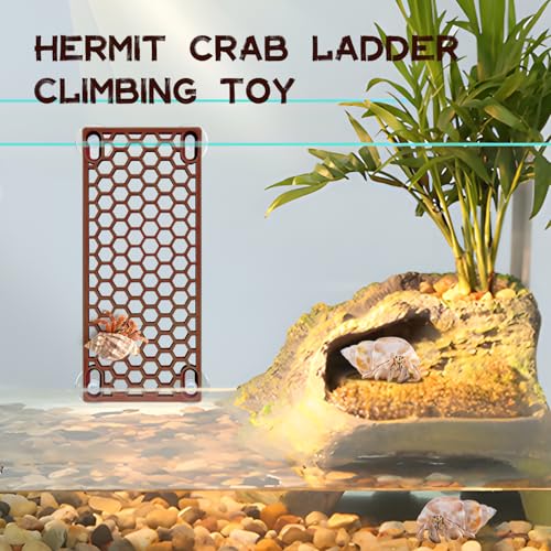 Hermit Crab Ladder Toy - Climbing Accessories for Reptiles, Lizards, Chameleons, Crab Habitat & Fish Tank Decoration Supplies (Brown) - color: brown