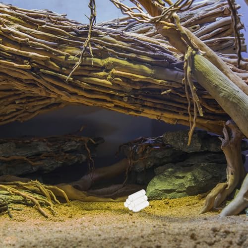 Crystal Shrimp House Acrylic Shrimp Cave Aquarium Décor Shelter Hideaway Stress Reduction Breeding Tube Aquatic Accessories for Fish Tank