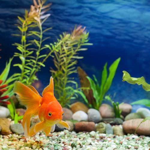 uxcell Aquarium Artificial Plants, 40 Pcs Fish Tank Plants Decorations Accessories Aquatic Ornaments Decor Water Grass, Yellow-Green (Four Grass) - color: Yellow-green