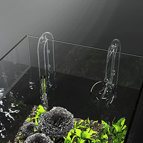 FZONE 13mm Aquarium Glass Lily Pipe Kits with Lily Inflow Lily Outflow and Brush for 3/4" ID (12/16mm) Tubing - size: 13 mm for 3/4" ID (12/16 mm tubing)