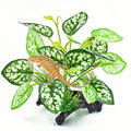 Reptile Artificial Plants, Terrarium Plants Decorations Supplies, Amphibian Habitat Hideout Tank Accessories, Rainforest Ground Plant