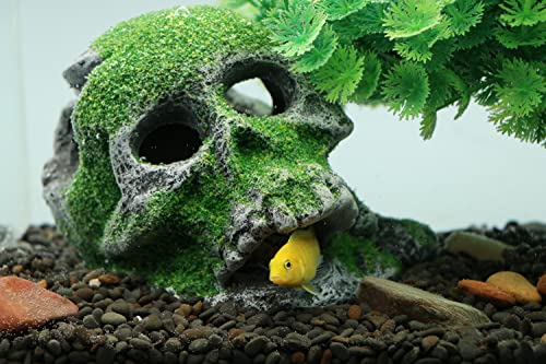 AQUA KT Aquarium Landscape Head Skeleton Skull Rock Fish Hiding Place Cichlid Cave for Gold Betta Fish Tank Decoration Freshwater or Marine Aquariums - color: Aquarium Skull