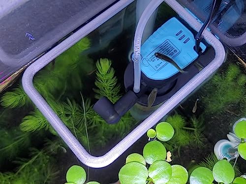 Squared Aquarium Feeding Ring Translucent (6x4 Inch) - size: 6x4 Inch