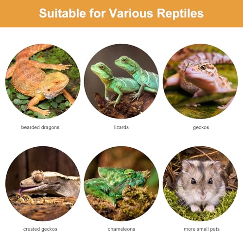 Bearded Dragon Leash and Carrier Sling, Super Soft Lizard Carrying Pouch, Adjustable Leather Wings Beardie Harness, Reptile Small Pet Snuggle Sling Bag Accessories for Outdoor Travel Walking Rest