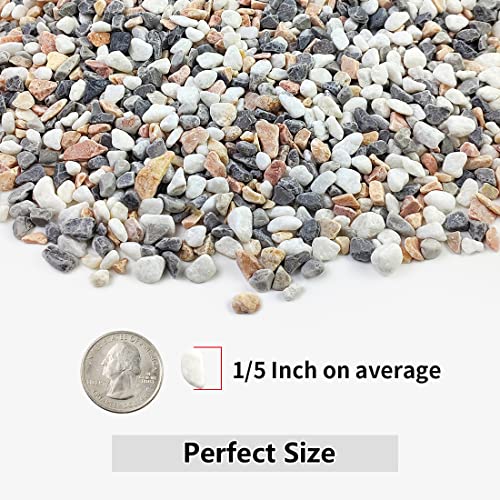 YISZM 5LBS Succulent and Cactus Gravel Pebbles, 1/5 Inch Natural Decorative Polished Stones, River Rocks for Vases, Aquariums, Terrarium and Outdoor Gardening, Mixed Color - color: Mixed, size: 5 Pounds