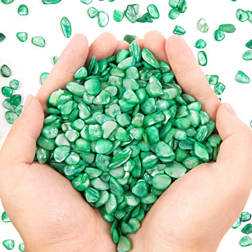 QICQDRAM Crushed Shells for Crafts About 1LB (405g/14.28oz) Small Natural Crushed Shells Bulk for Crafts DIY Beaching Wedding Decoration Vase Fillers (Green) - color: Green, size: 1LB (405g/14.28oz)