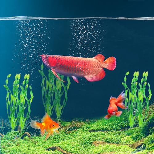 12Pcs Artificial Seaweed Water Plants, Aquarium Decorative Plants, Plastic Fish Tank Plants Decoration for Home and Office Fish Tanks(Green)
