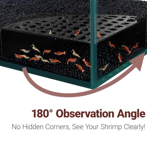 2-Pack Black Shrimp Hides for Aquarium - Stealth Cave with Multi-Sized Holes, 180° Viewing & Stable Hides for Cherry/Dwarf Shrimp - color: Black