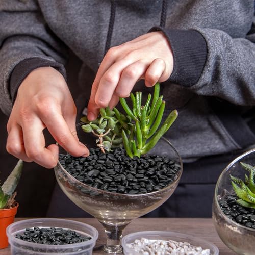 Mr. Fireglass 5 lbs Black Pebbles, 3/8" Natural Decorative Polished River Rocks Aquarium Gravel for Indoor Plants, Vases, Succulents and Outdoor Garden Landscaping - color: Black, size: 5 Pounds