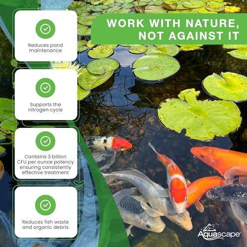 Aquascape Dry Beneficial Bacteria for Pond and Water Features, 8.8 Ounce (Pack of 1), 98948 , white - size: 0.55 lb