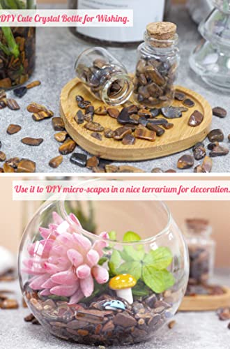 Tiger Eyes Aquarium Gravel Rocks Natural Tumbled Healing Crystal Chips Bulk Gemstones Tumbled Crushed Stones for Fountain Vase Filler Planters Decorative Fish Tank Potted Reiki Energy Balancing 0.44lb - color: Tiger's Eyes, size: 0.44 Pound