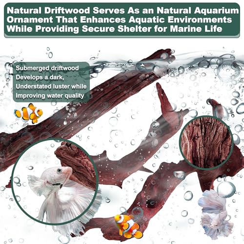 Natural Wood Driftwood for Aquarium Fish Tank Decor,Assorted Driftwood Trunk Branch for Reptile Tank Decor (MOP-ZYM Driftwood Branch (8 to12 Inch)-Pack of 5) - color: MOP-ZYM Driftwood Branch (8 to12 Inch)-Pack of 5
