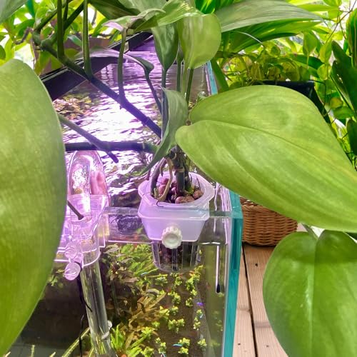 MiOYOOW Aquarium Plant Holder, 2PCS Wall-Hanging Fish Tank Plant Pot with Rooting Hole for Aquarium Plants Decorations