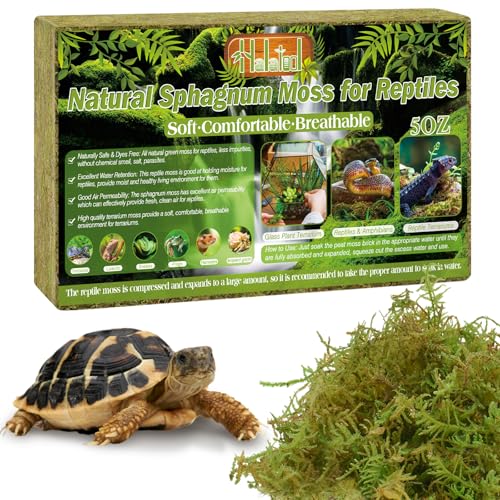 Halatool 5OZ Natural Sphagnum Moss for Reptiles- 8QT Green Moss for Terrarium Plants Long Fiber Reptile Moss for Leopard Gecko Snake Hamsters Tortoises Frogs Lizards Salamanders - size: 5OZ