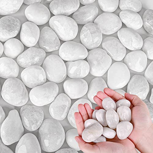 White River Rocks for Plants 5.5 LB Small Decorative Pebbles 1"-1.5" Polished Stones Smooth Aquarium Gravel for Fish Tank Vases Indoor Planters Outdoor Landscaping Garden (88oz) - size: 5.5 LB (88oz), style: White
