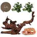 Hamiledyi Reptile Driftwood Decoration Natural Coral Driftwood Branches for Aquarium Reptiles Trunk Log Ornament Bendable Jungle Climbing Vines Decor for Bearded Dragon Lizad Amphibian Fish Tank
