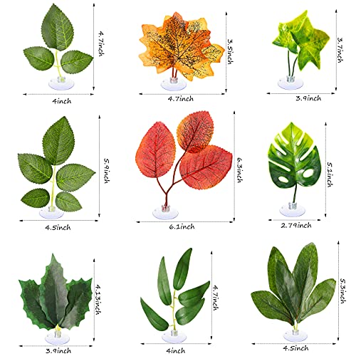 Patelai 9 Pieces Betta Bed Leaf Hammock Pad Betta Fish Leaf Pad Betta Fish Hammock Betta Fish Accessories Plant Tank Decorations for Lightweight and Realistic Resting Spot Simulating The Habitat