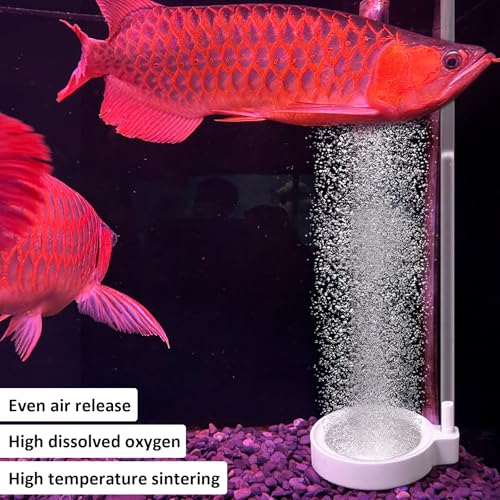 2 Inch Fish Tank Nano Air Stone, Nano Fish Tank Bubbler, High Dissolved Oxygen Diffuser, Ultra Quiet Airstone, Aquarium Bubbler for 5 to 30 Gallon Tanks(No Air Pump and Air Tube)