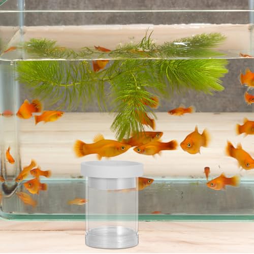 Beavorty Small Fish Breeding Isolation Box Floating Aquarium Hatchery Incubator with Divider and Egg Net for Guppy Fry Nursery in Fish Tanks