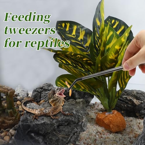 Reptile Feeding Tongs, Stainless Steel Lizard Feeding Tongs, Aquarium Curved Feeding Tweezers for Reptiles with Rubber Tip, Terrarium Feeding Tongs 10.63" L, Black Silver Tone - color: Black, size: 10.63"