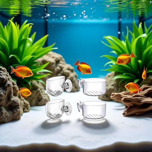 4Pcs Transparent Acrylic Aquatic Plant Cups with Suction - Aquarium Decoration 2 Shapes for Fish Tank Ornament