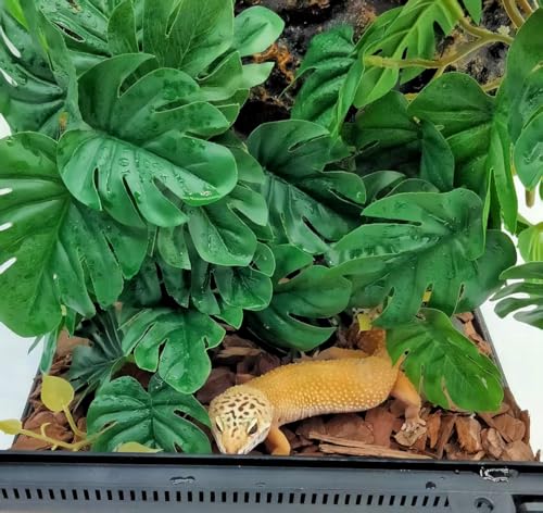 Reptile Plants for Terrarium Decor, Amphibian Habitat Decor, Snake Tank Accessories, Artificial Hanging Plants with Suction Cup-2 Packs (Fake Monstera) - color: Fake Monstera