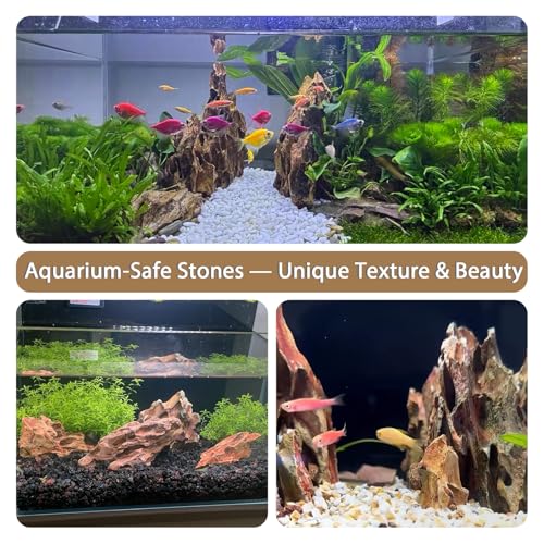 Aquariums Stones Natural Rocks 3lb Aquarium Rock for Fish Tank Aquascaping,Aquariums,Terrariums,Vivariums,Decorative Stone,Reptile Enclosures,Paludariums,and Gardens-（2-5 Inch）