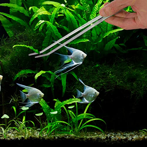 1set Aquarium Maintenance Tool Set Aquascaping Kit Scissors Tweezers and Spatula for Easy Plant Care and Fish Tank Cleaning