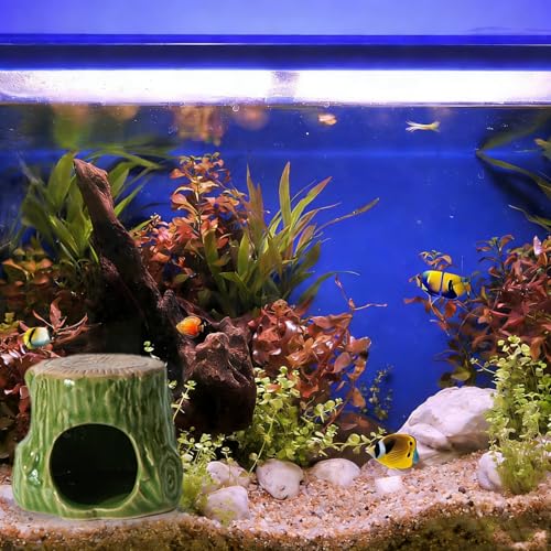 Aquarium Decor Cave Betta Fish Aquarium Accessories Ornaments Hiding Cave Wooden Stake Shape Hideout for Shrimp Cichlid Hermit Crab, Octopus Hiding Breeding for Tank (Green) - color: Light Green